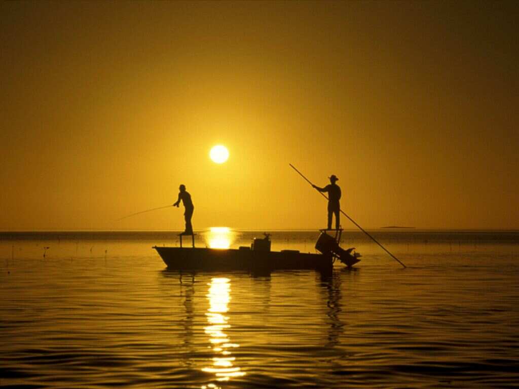 Meio ambiente: Sistema de esgoto traz benefícios para a pesca artesanal