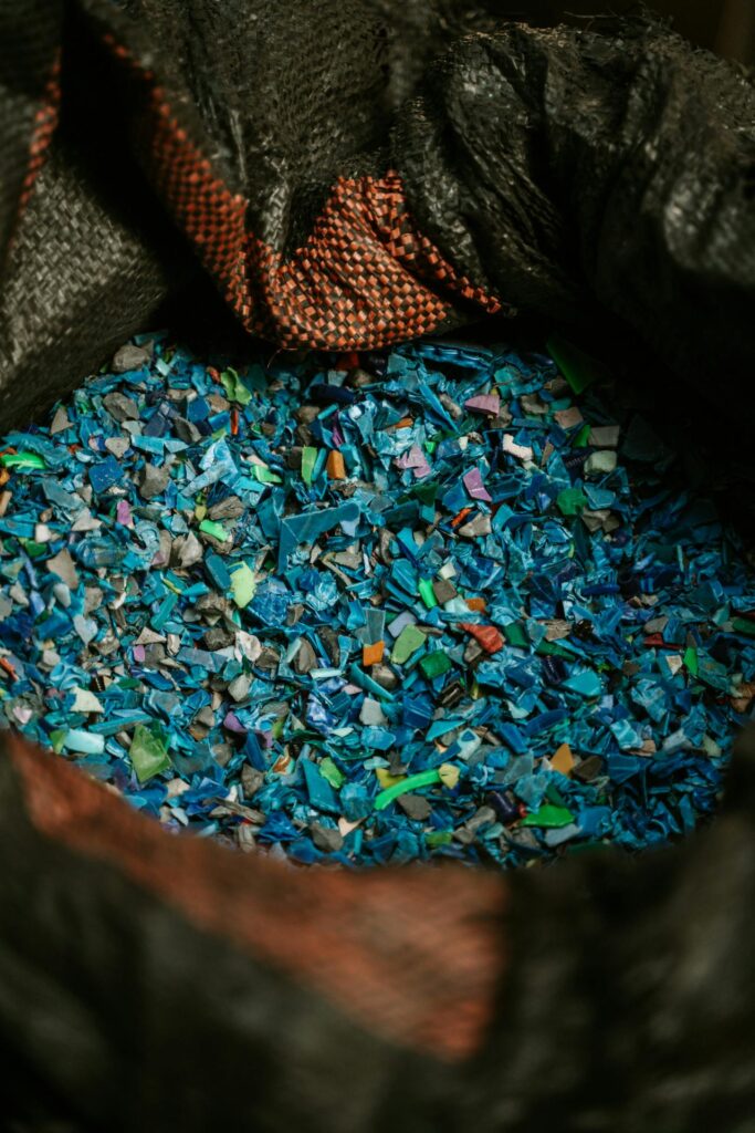 Plástico nos rios e mares ameaça o meio ambiente e compromete a alimentação dos animais